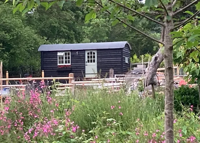 Willow Brook Shepherd Hut