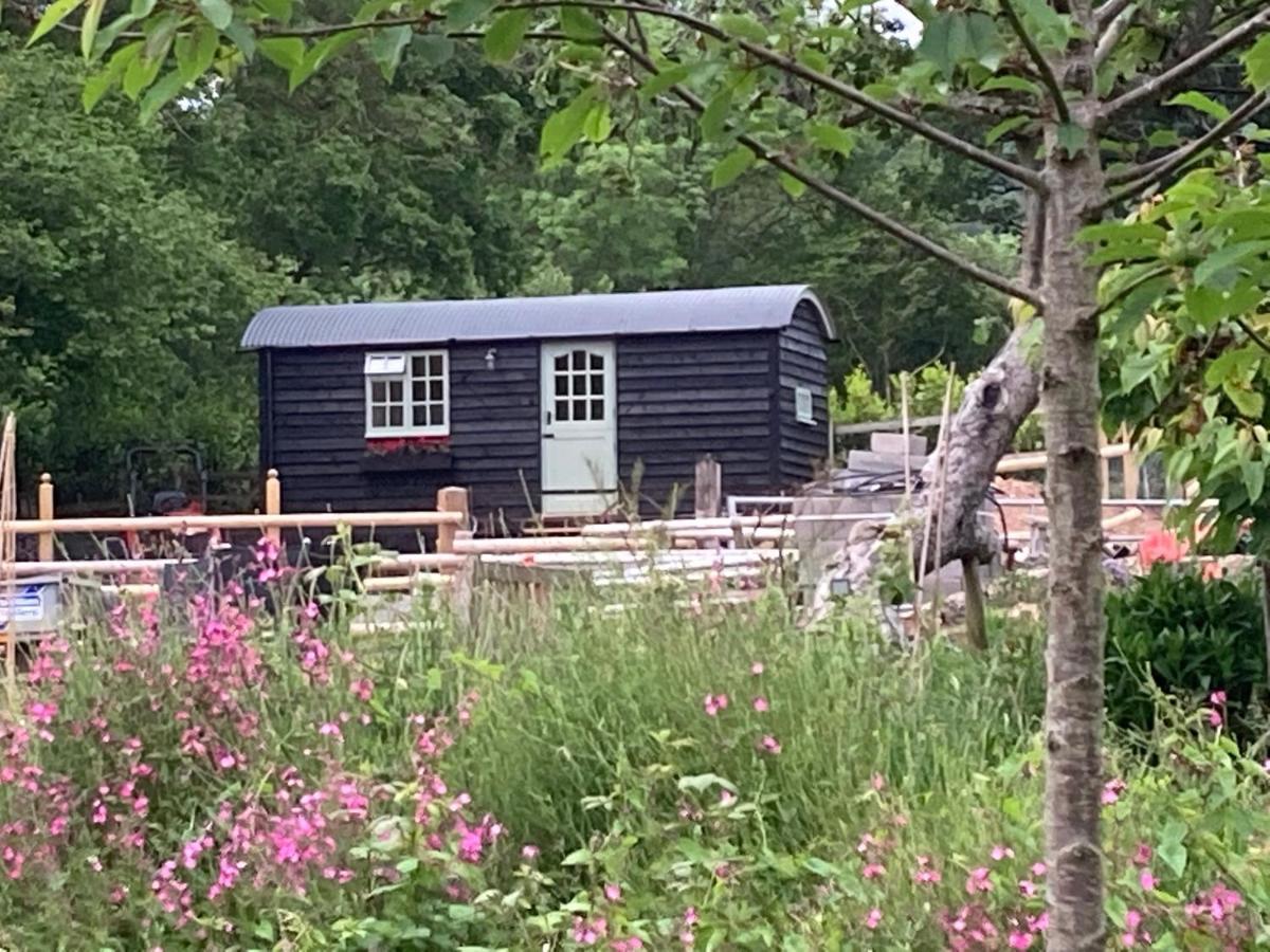 Willow Brook Shepherd Hut Sidmouth