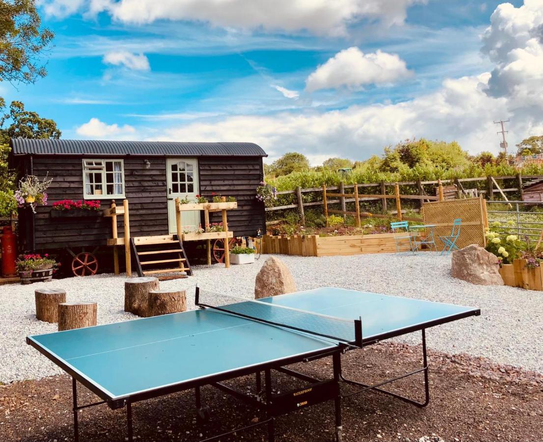 Willow Brook Shepherd Hut Sidmouth