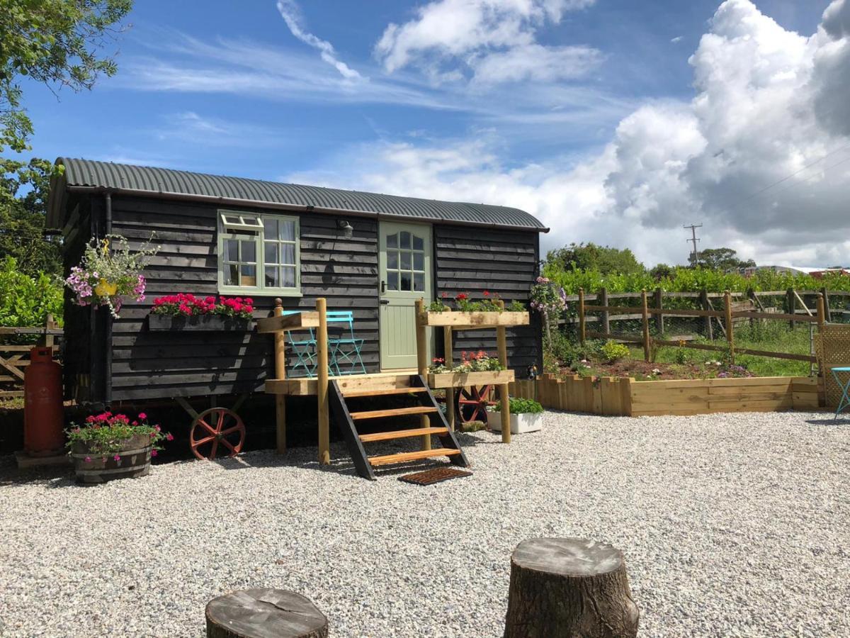 Willow Brook Shepherd Hut Campsite *