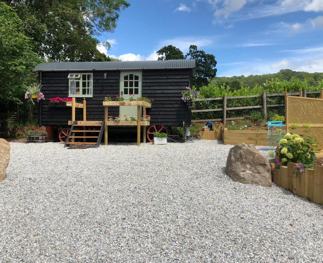 Campsite Willow Brook Shepherd Hut *